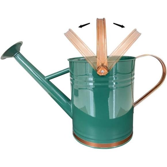 Metal Watering Can for Outdoor and Indoor Plants, 1 Gallon - Summer Gardening - Picture 3 of 8